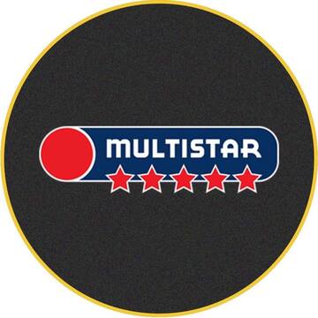 MULTISTAR SRL