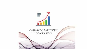 PAMATESO MATESOFT CONSULTING SRL