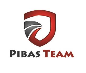 PIBAS TEAM SRL